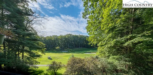 a view of a back yard