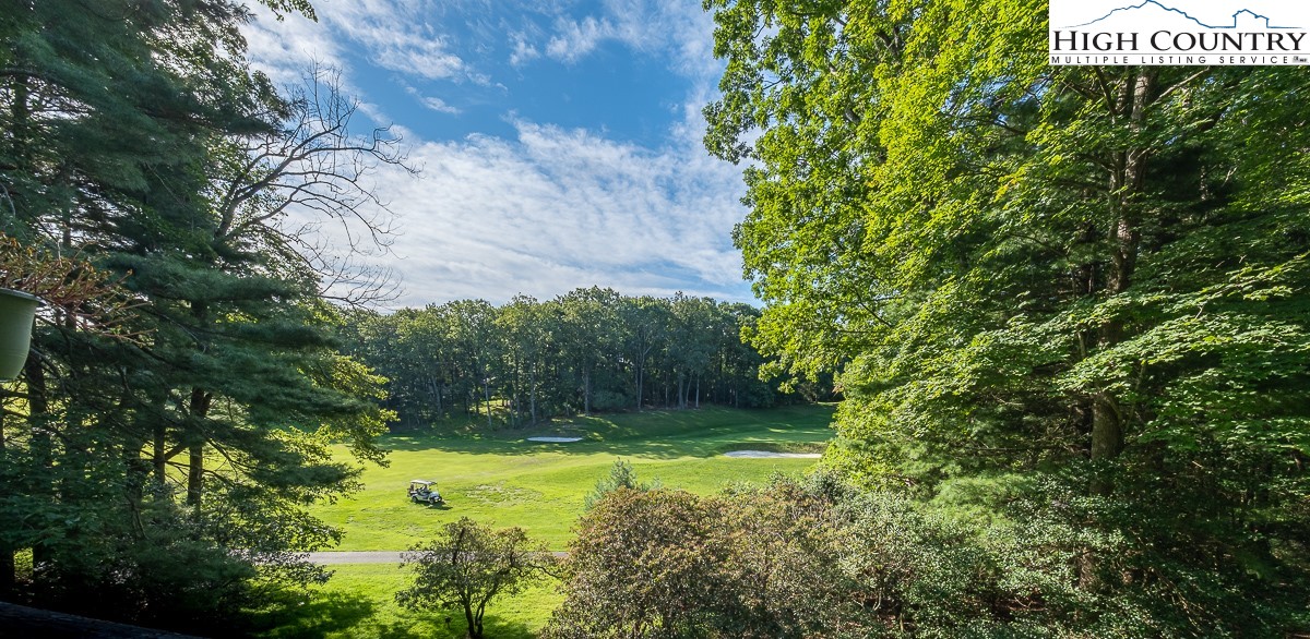 377 Deer Run Road Glade Valley, NC 28627 - Photo 5 of 26 a view of a back yard