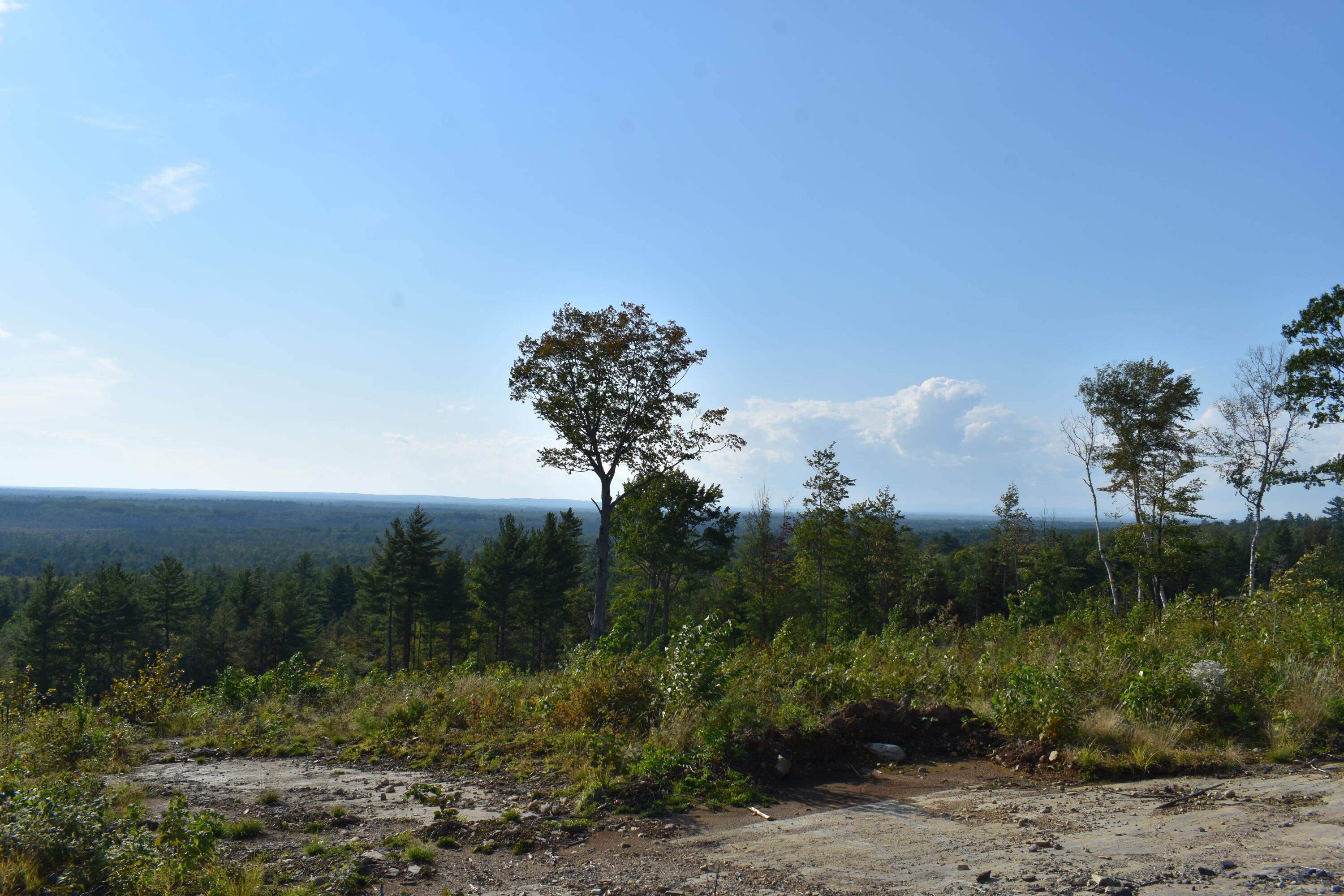 Lot 8 West Old Main Road Lowell, ME 04493 - Photo 4 of 9 DSC_0347