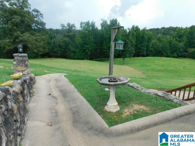 2834 Empire Road Empire, AL 35063 - Photo 33 of 39