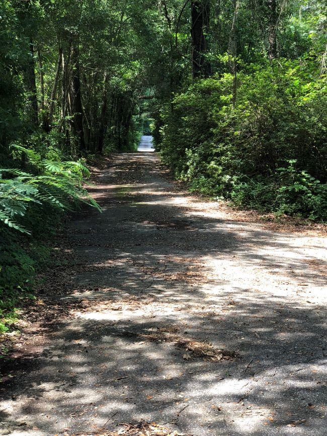 4357 B Maylor Road Tallahassee, FL 32308 - Photo 30 of 31