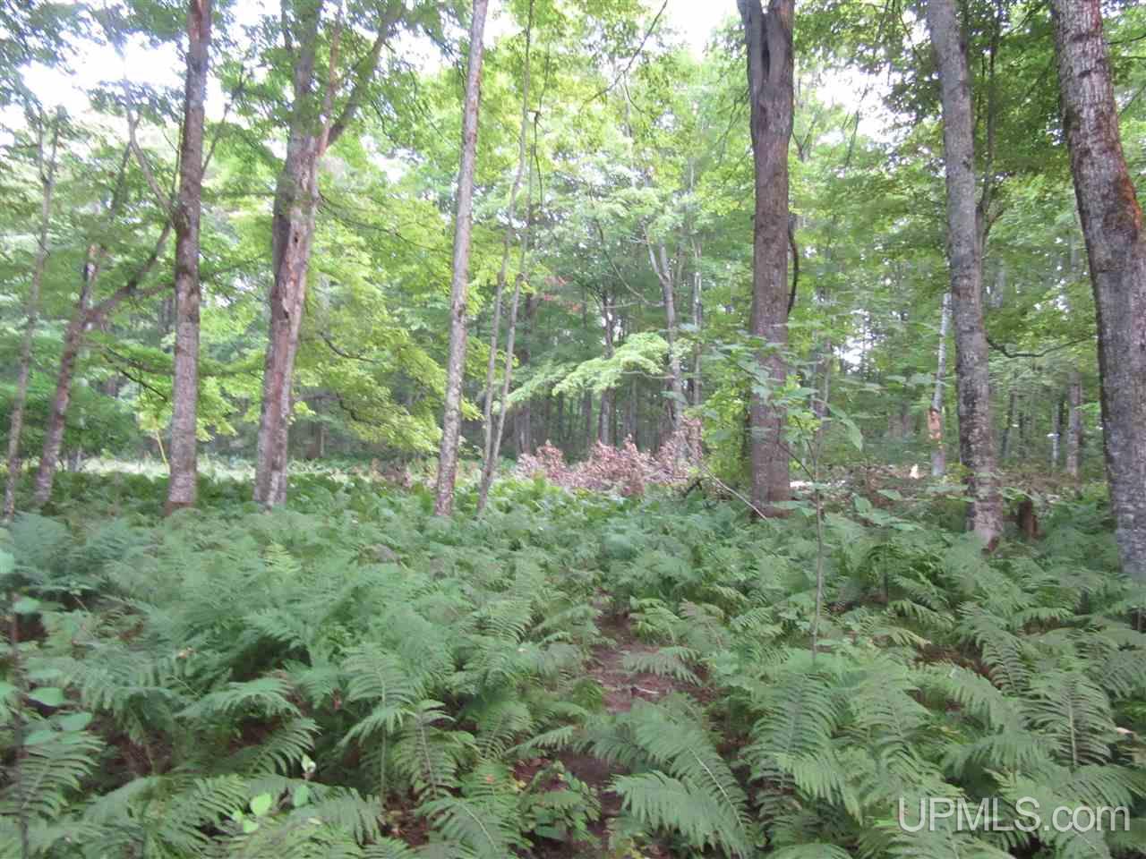 Tbd North Needle Pointe Road, Unit LOT 3 Germfask, MI 49836 - Photo 11 of 13