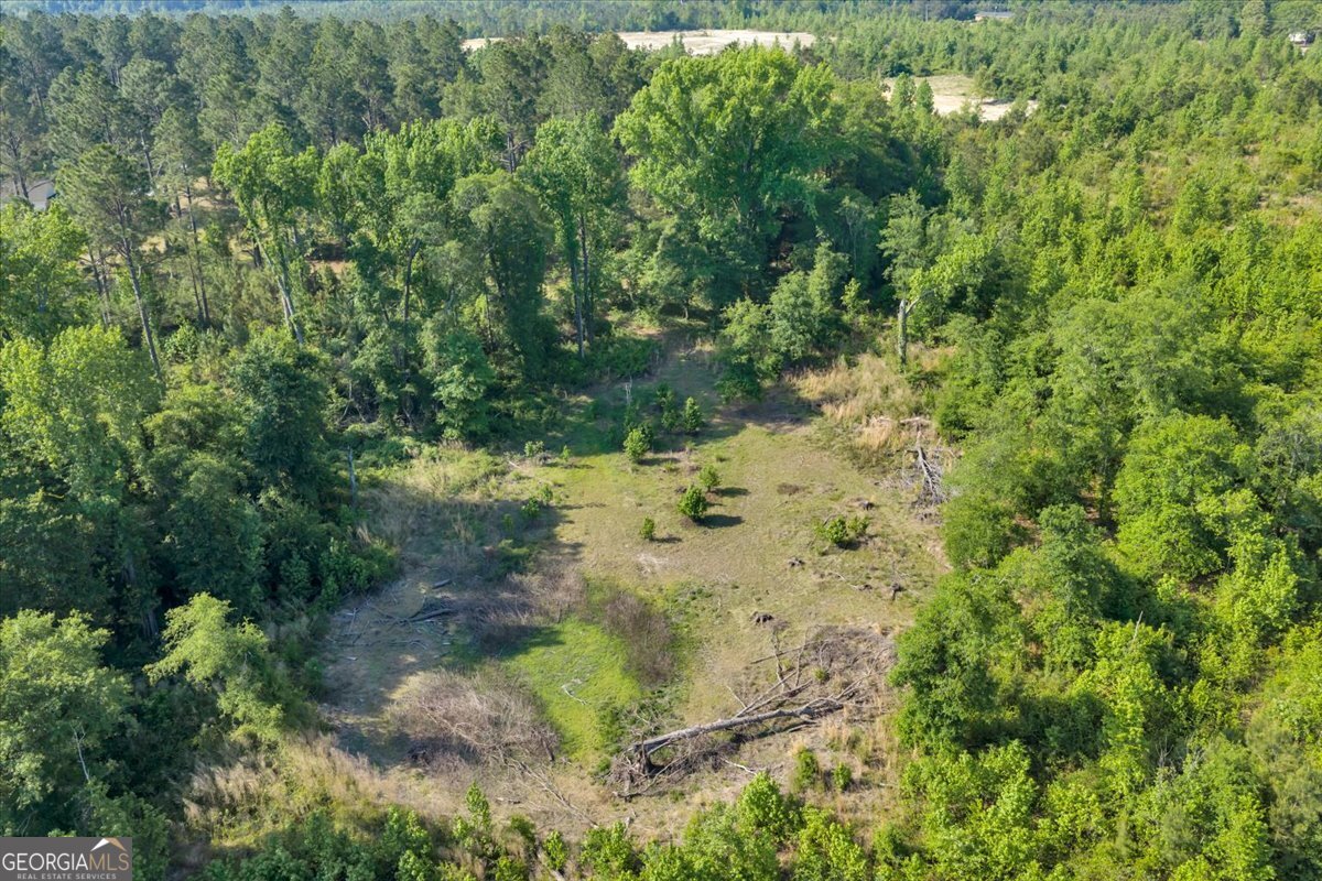 3150 Highway 441 Rentz, GA 31075 - Photo 11 of 23 a view of a yard with plants and tree