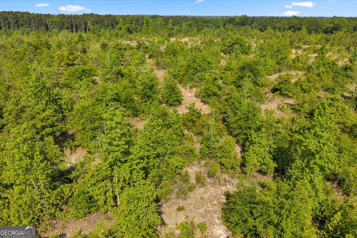 3150 Highway 441 Rentz, GA 31075 - Photo 12 of 23 a view of a field with a tree