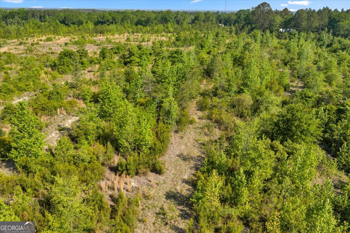 3150 Highway 441 Rentz, GA 31075 - Photo 14 of 23 a view of a big yard with lots of bushes