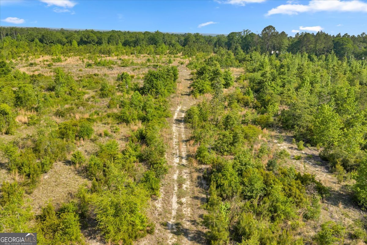 3150 Highway 441 Rentz, GA 31075 - Photo 15 of 23