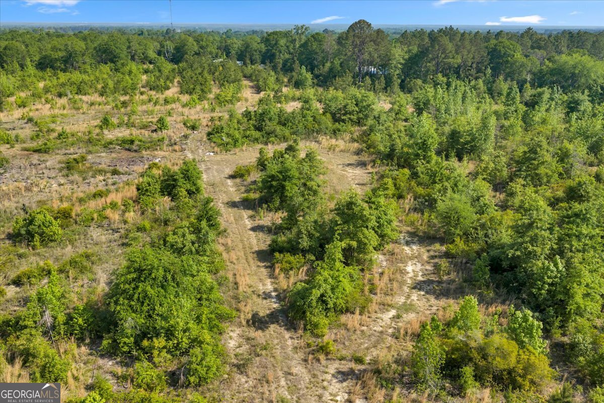 3150 Highway 441 Rentz, GA 31075 - Photo 16 of 23 a view of a forest with an trees
