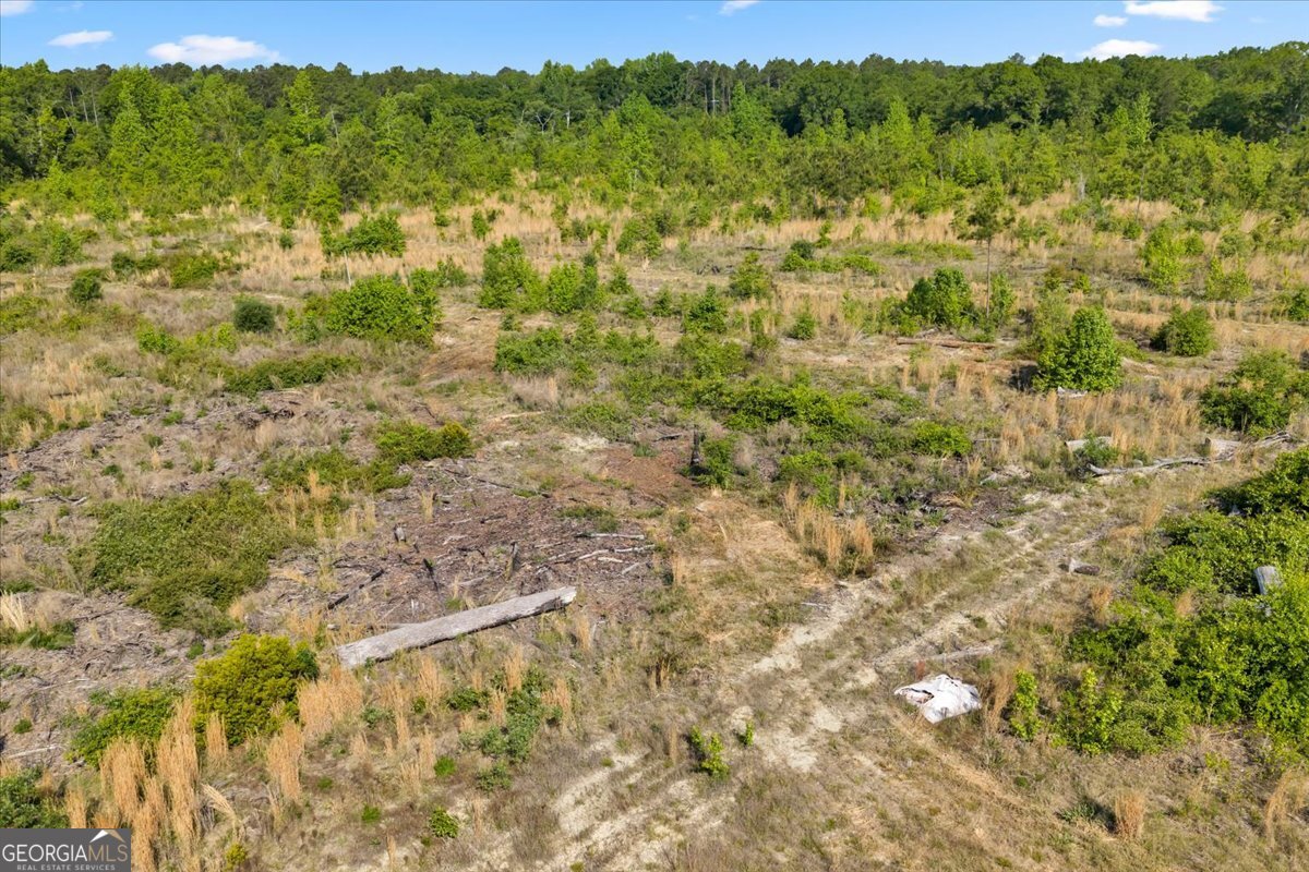 3150 Highway 441 Rentz, GA 31075 - Photo 17 of 23 a view of a forest with trees in the background