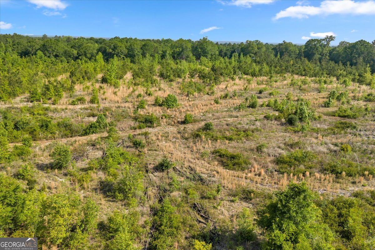 3150 Highway 441 Rentz, GA 31075 - Photo 18 of 23 a view of a bunch of trees and bushes