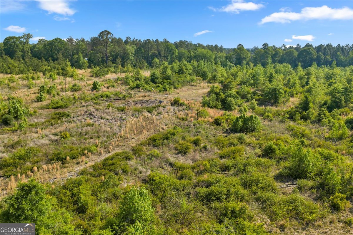 3150 Highway 441 Rentz, GA 31075 - Photo 19 of 23 a view of a forest with a houses