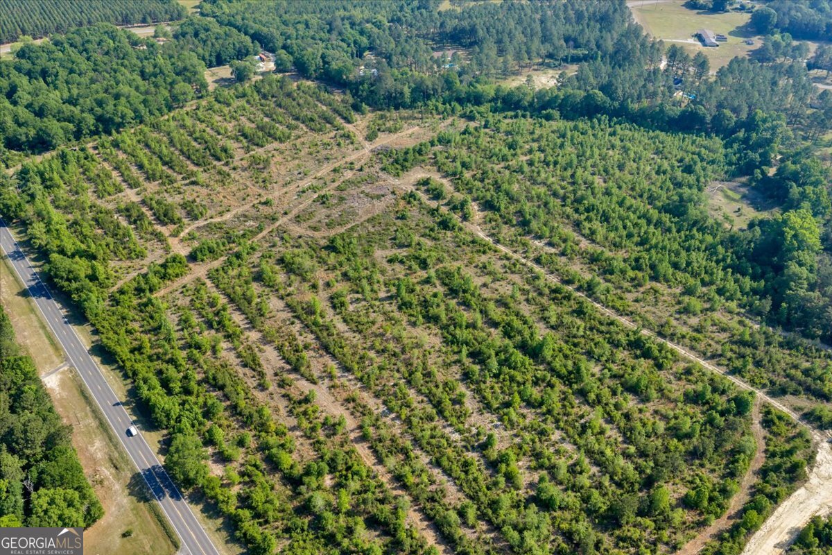 3150 Highway 441 Rentz, GA 31075 - Photo 2 of 23 a view of a garden with a tree