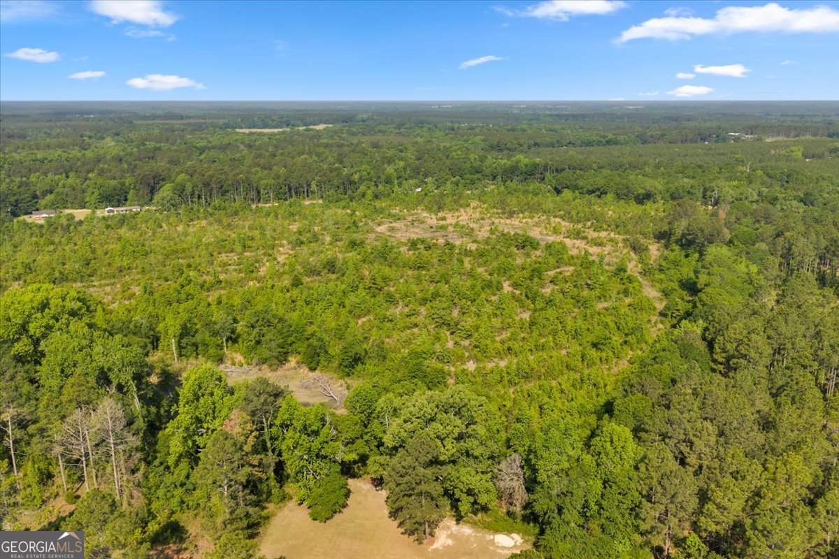 3150 Highway 441 Rentz, GA 31075 - Photo 21 of 23 a view of an ocean from a yard