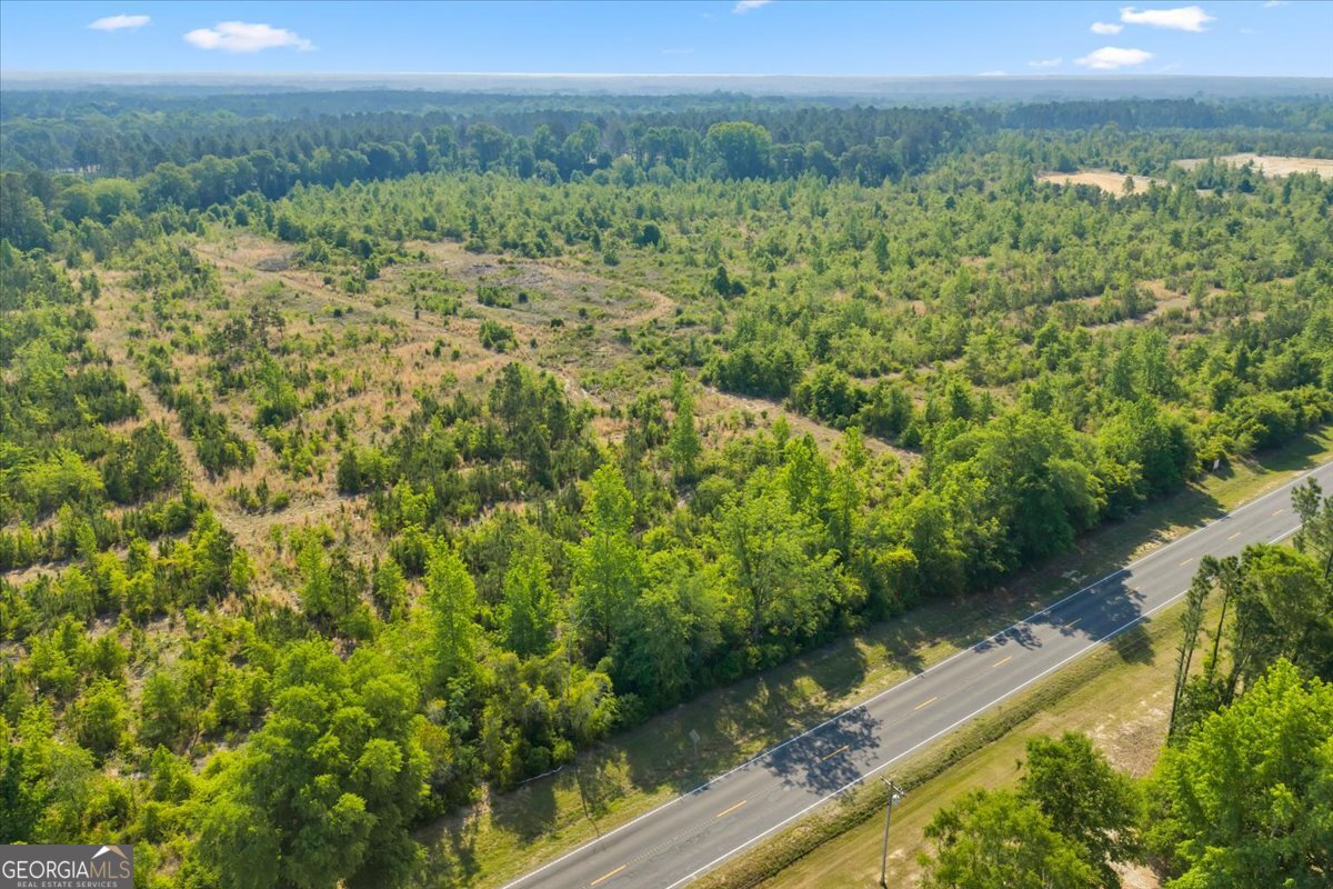 3150 Highway 441 Rentz, GA 31075 - Photo 22 of 23 a view of a yard with an outdoor space