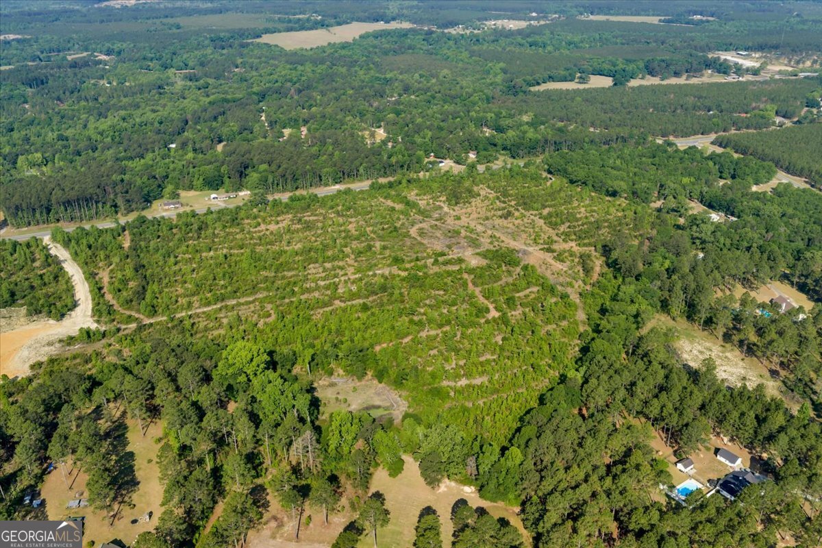 3150 Highway 441 Rentz, GA 31075 - Photo 4 of 23 a view of a big yard with large trees