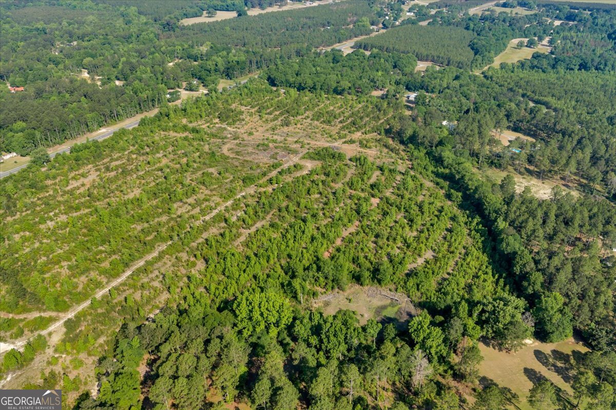 3150 Highway 441 Rentz, GA 31075 - Photo 5 of 23 a view of a lush green forest with lots of trees