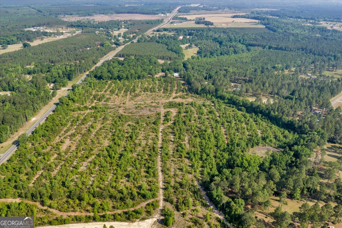 3150 Highway 441 Rentz, GA 31075 - Photo 6 of 23 a view of a garden