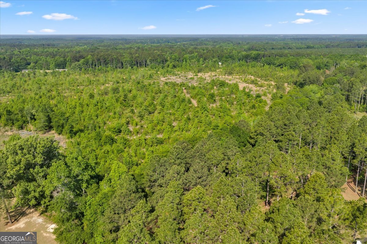 3150 Highway 441 Rentz, GA 31075 - Photo 9 of 23 a view of a green field with lots of bushes