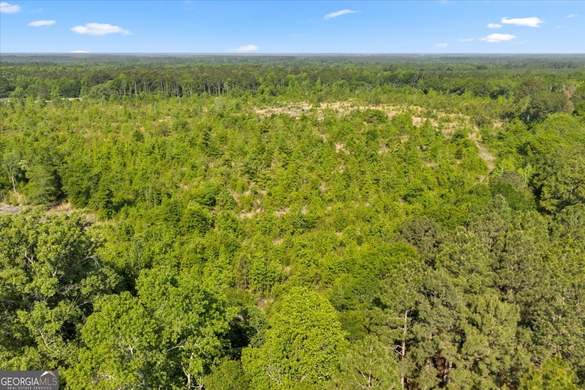 3150 Highway 441 Rentz, GA 31075 - Photo 10 of 23 a view of an ocean from a yard