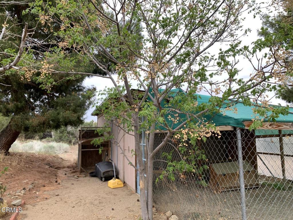 9020 Pionero Road Pinon Hills, CA 92372 - Photo 52 of 71 6