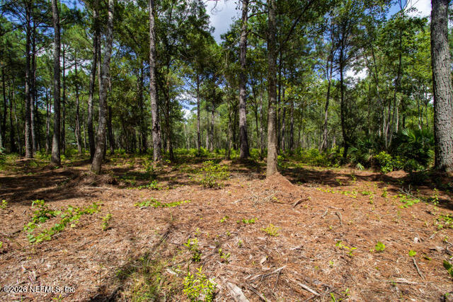 4410 Lori Loop Road Keystone Heights, FL 32656 - Photo 7 of 12 Keystone -09