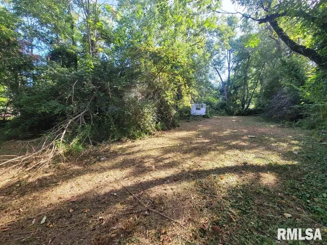 $7,200 | 1116 South Holland Street, Harrisburg, IL 62946