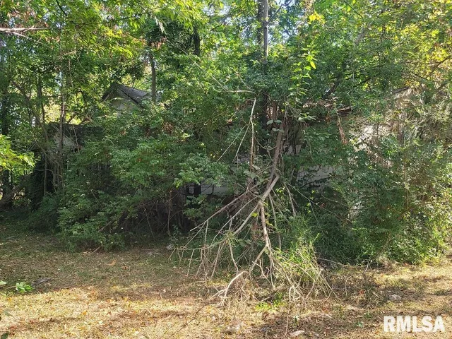 $7,200 | 1116 South Holland Street, Harrisburg, IL 62946