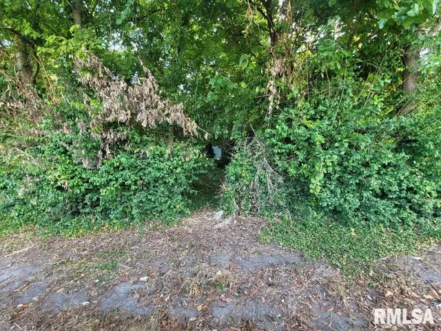 $7,200 | 1116 South Holland Street, Harrisburg, IL 62946