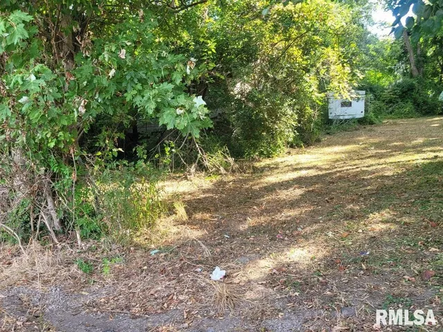 $7,200 | 1116 South Holland Street, Harrisburg, IL 62946