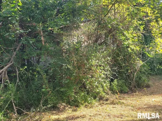 $7,200 | 1116 South Holland Street, Harrisburg, IL 62946