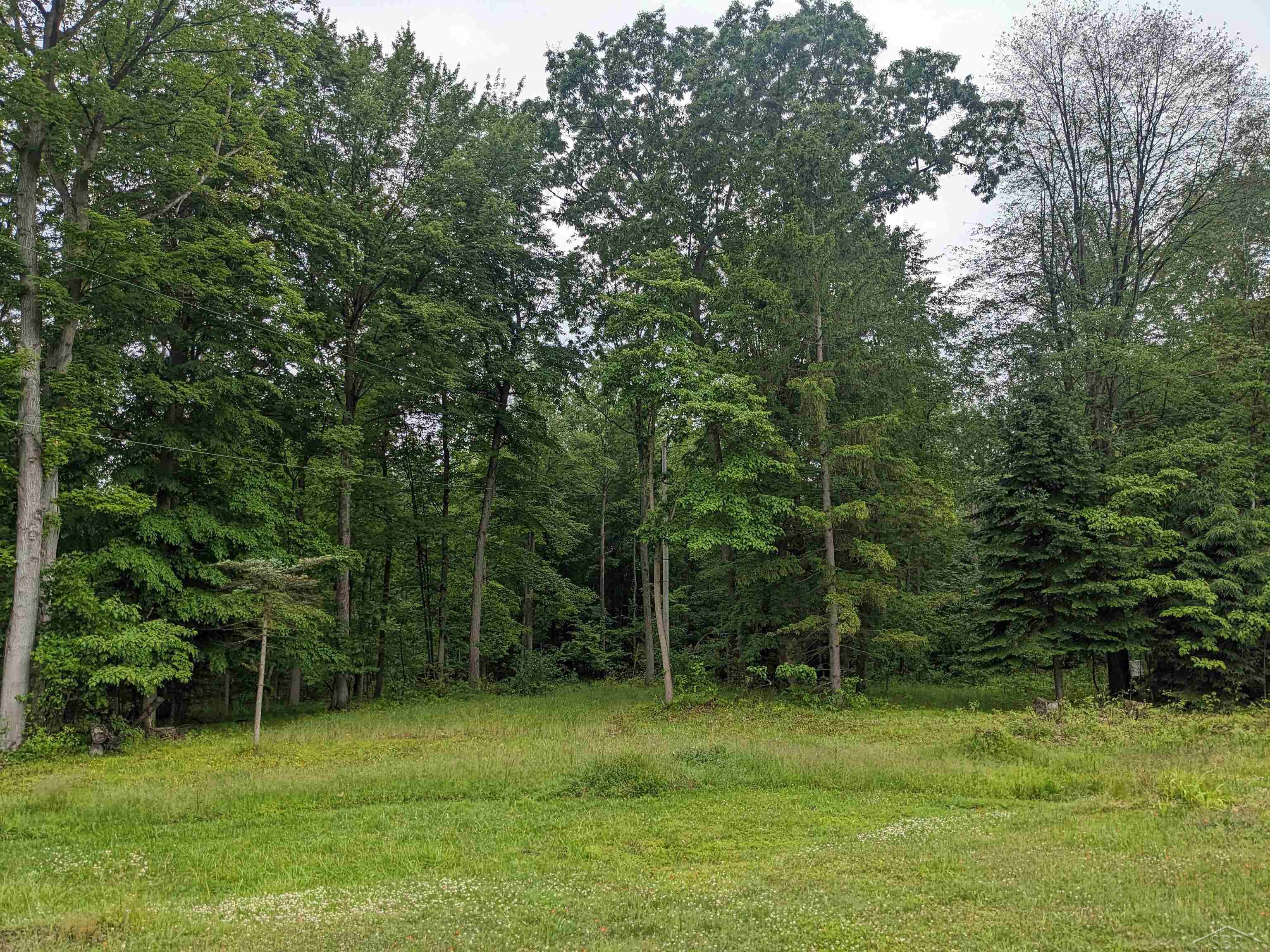 10260 Rathbun Way Birch Run, MI 48415 - Photo 25 of 34 50112568-24.JPG