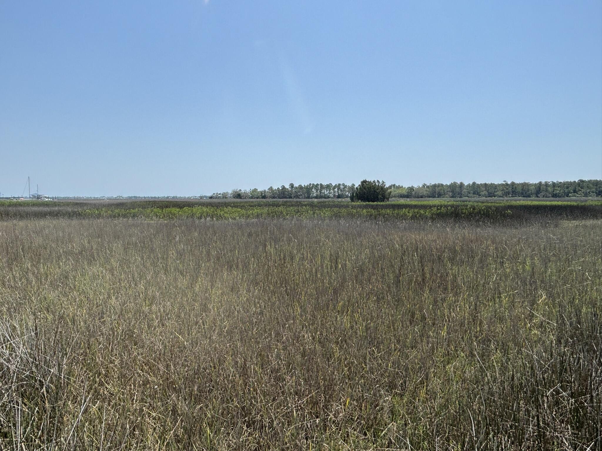 2035 Sol Legare Road Charleston, SC 29412 - Photo 15 of 26 IMG_2302