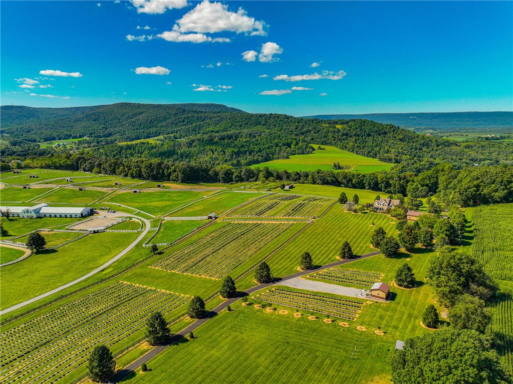 63 Long Road Lenhartsville, PA 19534 - Photo 8 of 100 Rolling green pastures and cultivated fields sweep toward forested hillsides under a bright blue sky.