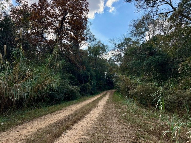 Undisclosed Address Headland, AL 36345 - Photo 22 of 36