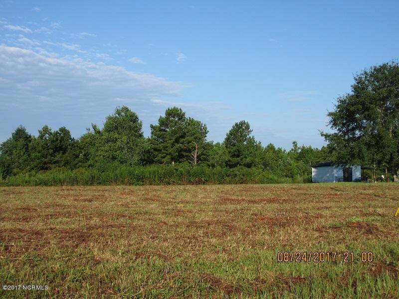 0 Blueberry Road Currie, NC 28435 - Photo 2 of 2 IMG_0594