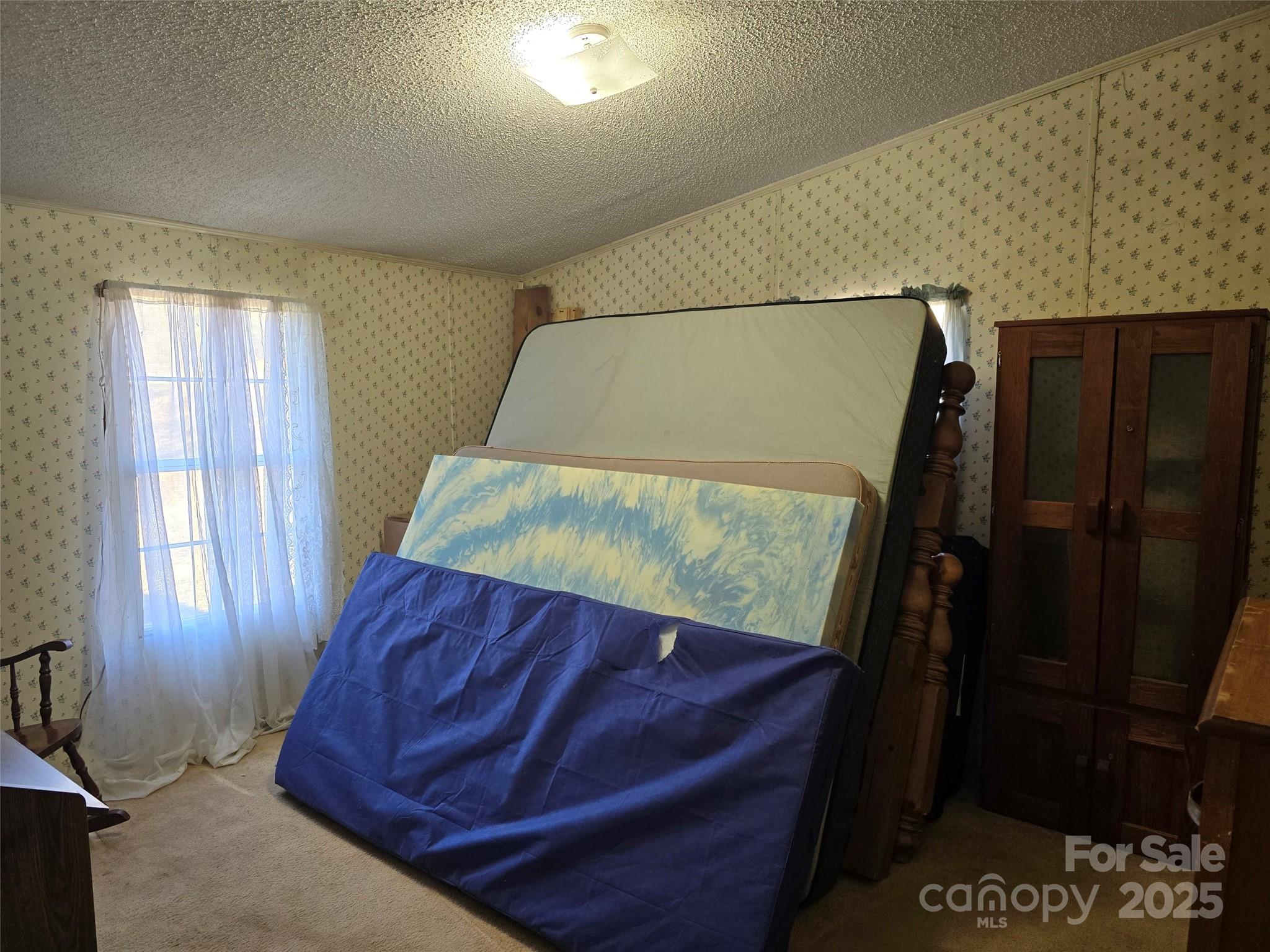 443 McCallum Pond Road Candor, NC 27229 - Photo 11 of 34 Gallery Image 11