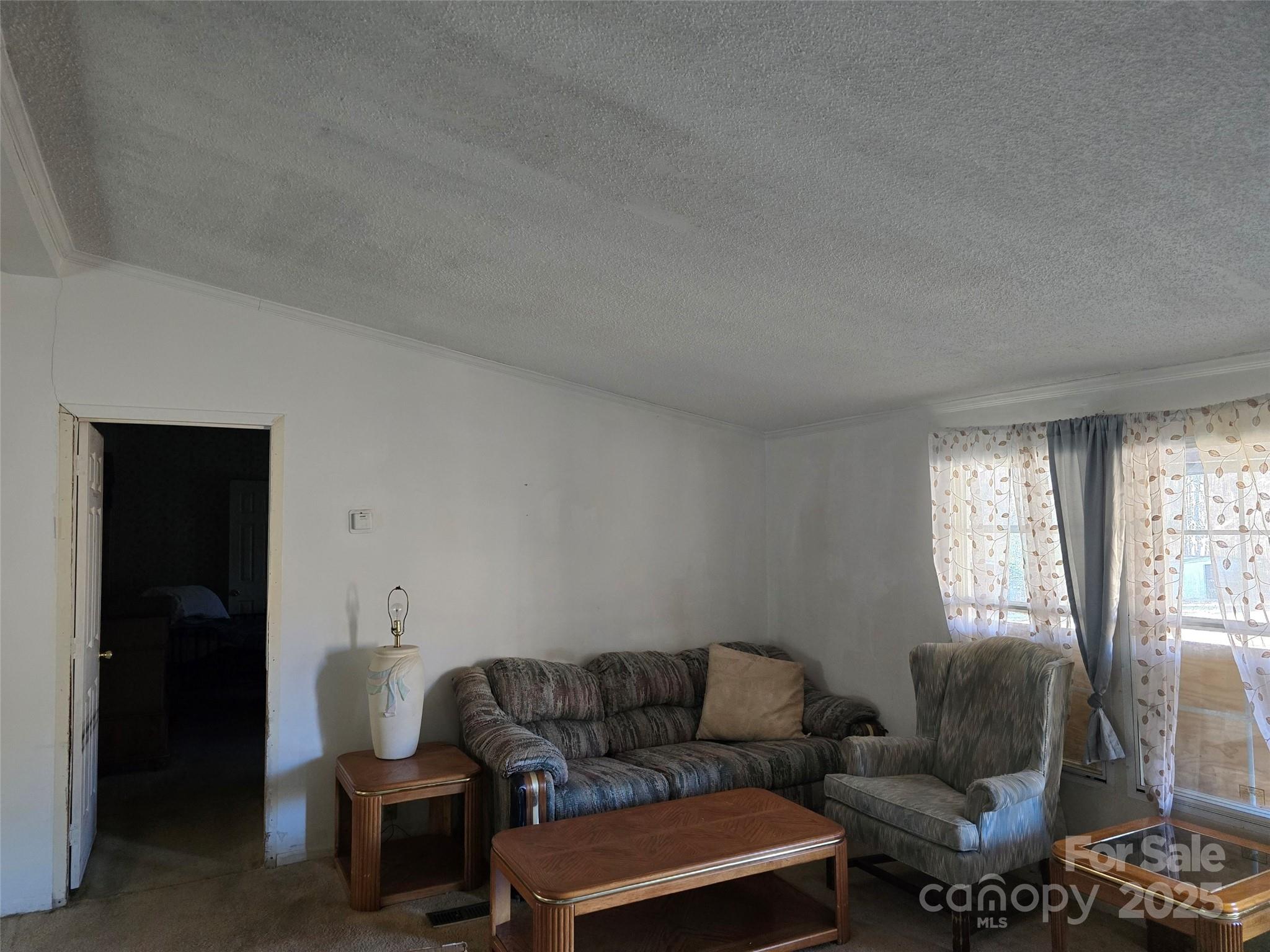 443 McCallum Pond Road Candor, NC 27229 - Photo 3 of 34 Gallery Image 3