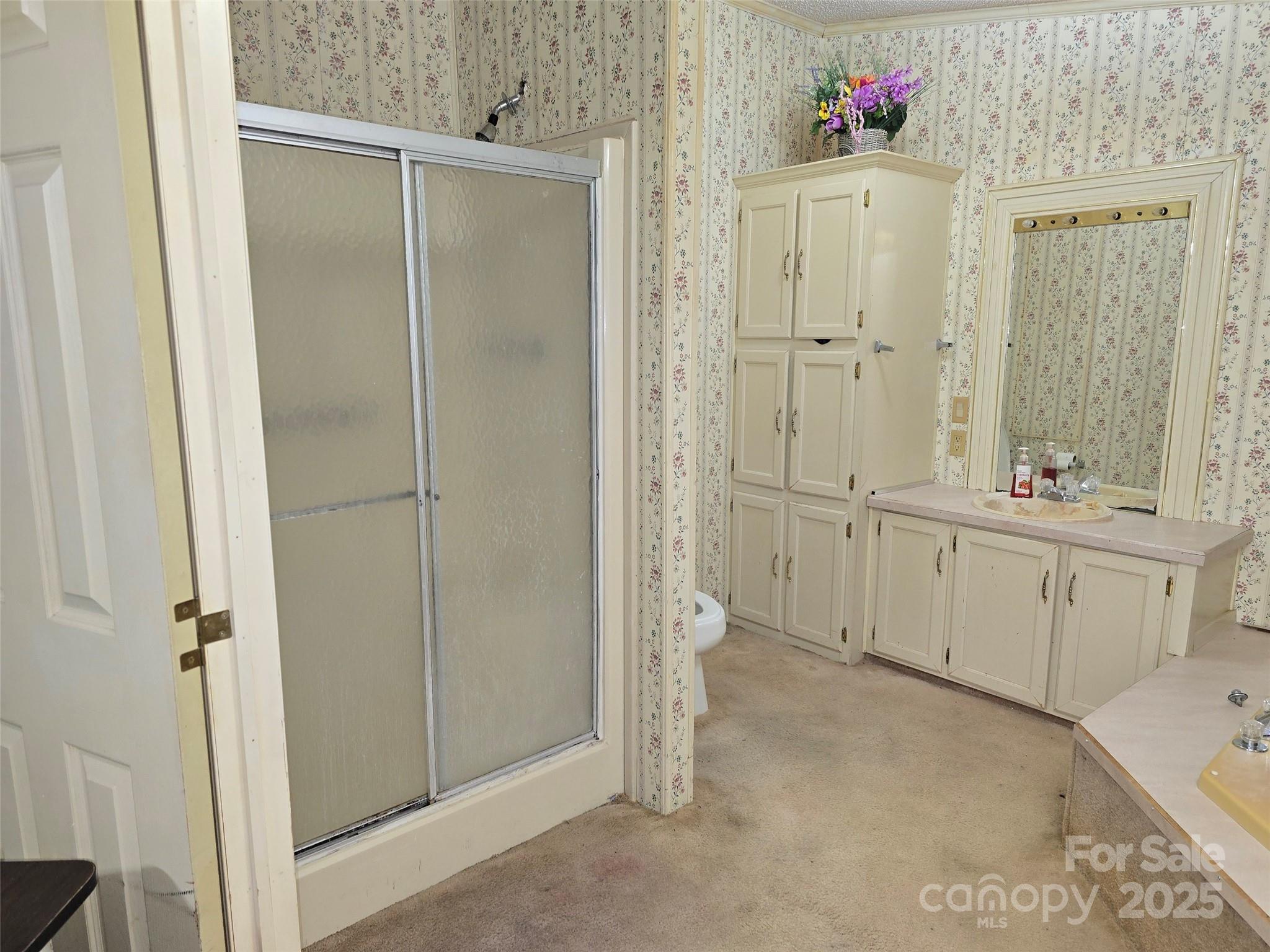 443 McCallum Pond Road Candor, NC 27229 - Photo 8 of 34 Gallery Image 8