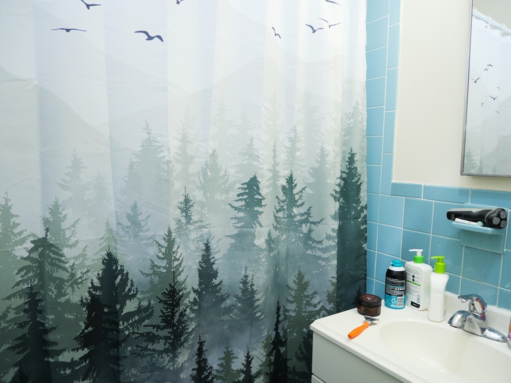 1027 Commonwealth Avenue, Unit 33 Boston, MA 02215 - Photo 4 of 4 a bathroom with a sink a toilet and shower curtain