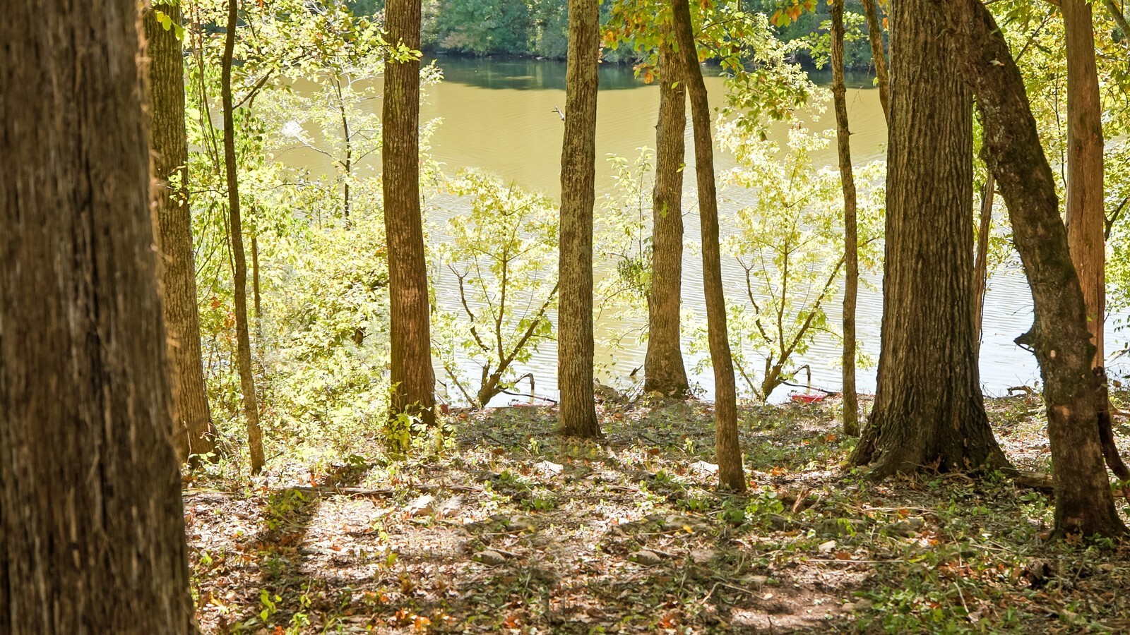 1456 Berea Church Road Lebanon, TN 37087 - Photo 57 of 65