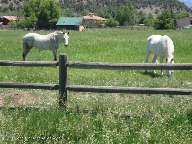 2227 Emma Road Basalt, CO 81621 - Photo 8 of 10 Pasture