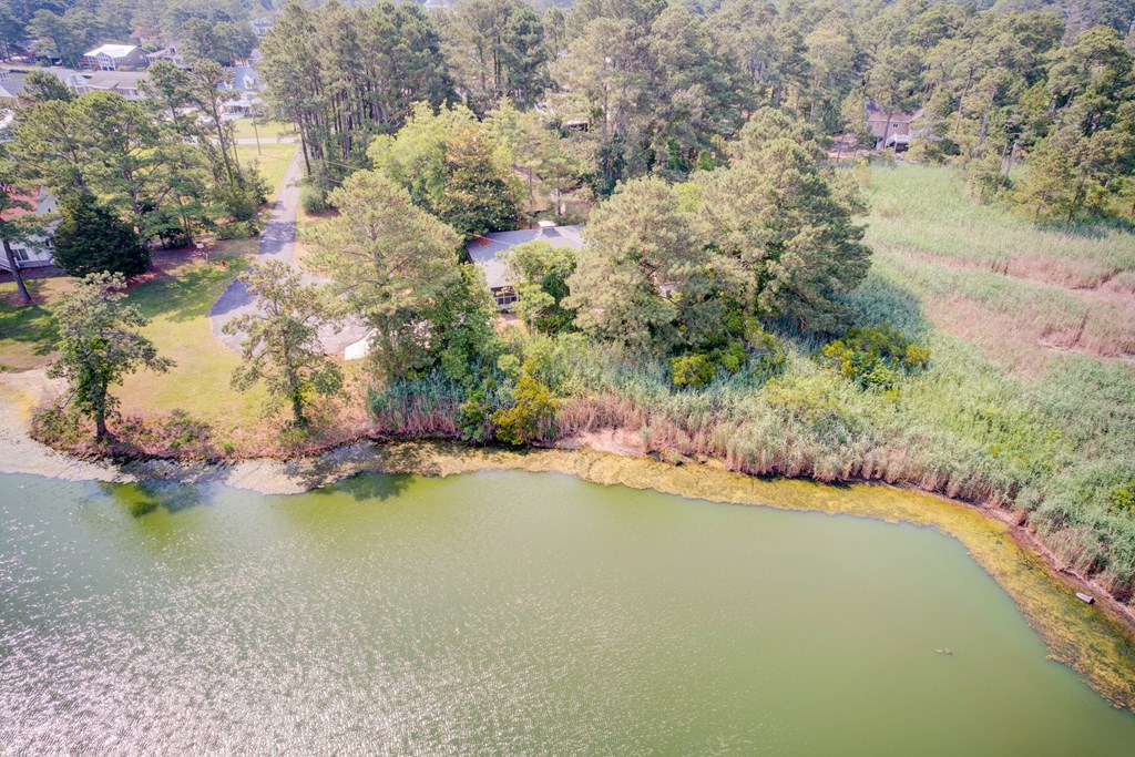 5290 Lakeview Road Chincoteague Island, VA 23336 - Photo 44 of 54