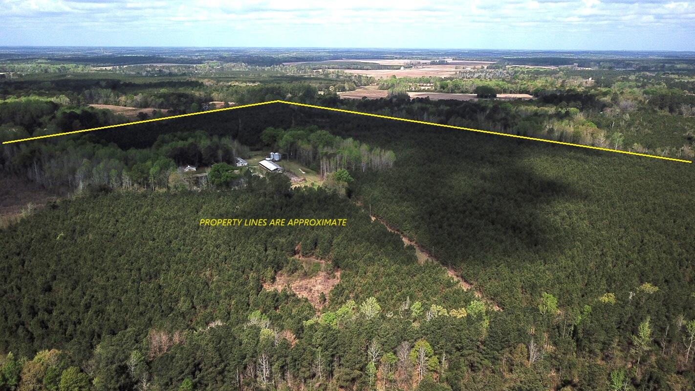 305 Ponderosa Road St. Matthews, SC 29135 - Photo 3 of 19 DJI_0061