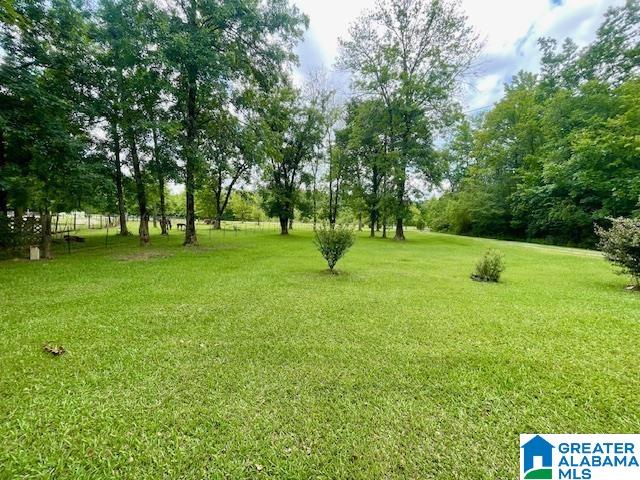 45676 Highway 25 Vincent, AL 35178 - Photo 22 of 22