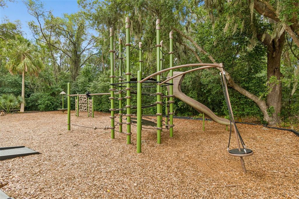 6065 Spring Crayfish Avenue New Port Richey, FL 34653 - Photo 56 of 61