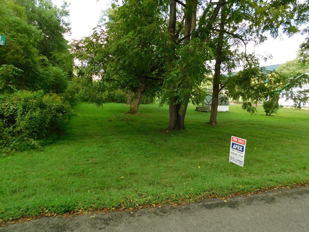 0 Lower Country Club Road Mount Union, PA 17066 - Photo 1 of 6 Gallery Image 1