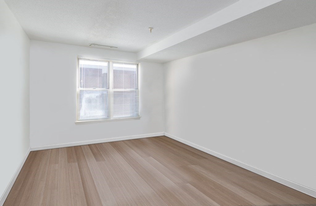 20 Webster Street, Unit 503 Brookline, MA 02446 - Photo 6 of 10