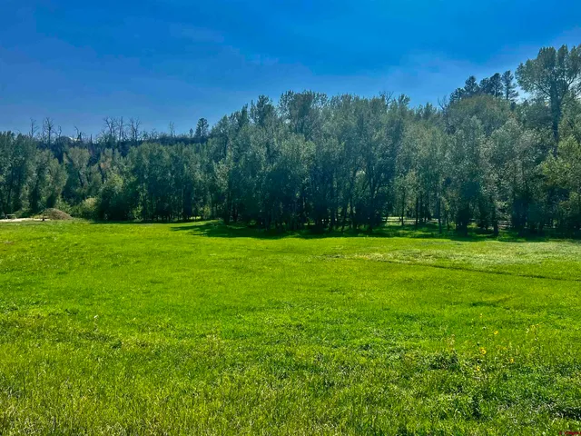 a view of a grassy field