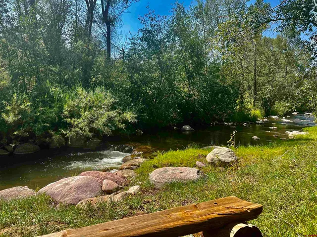 a view of a lake with lawn chairs and large trees