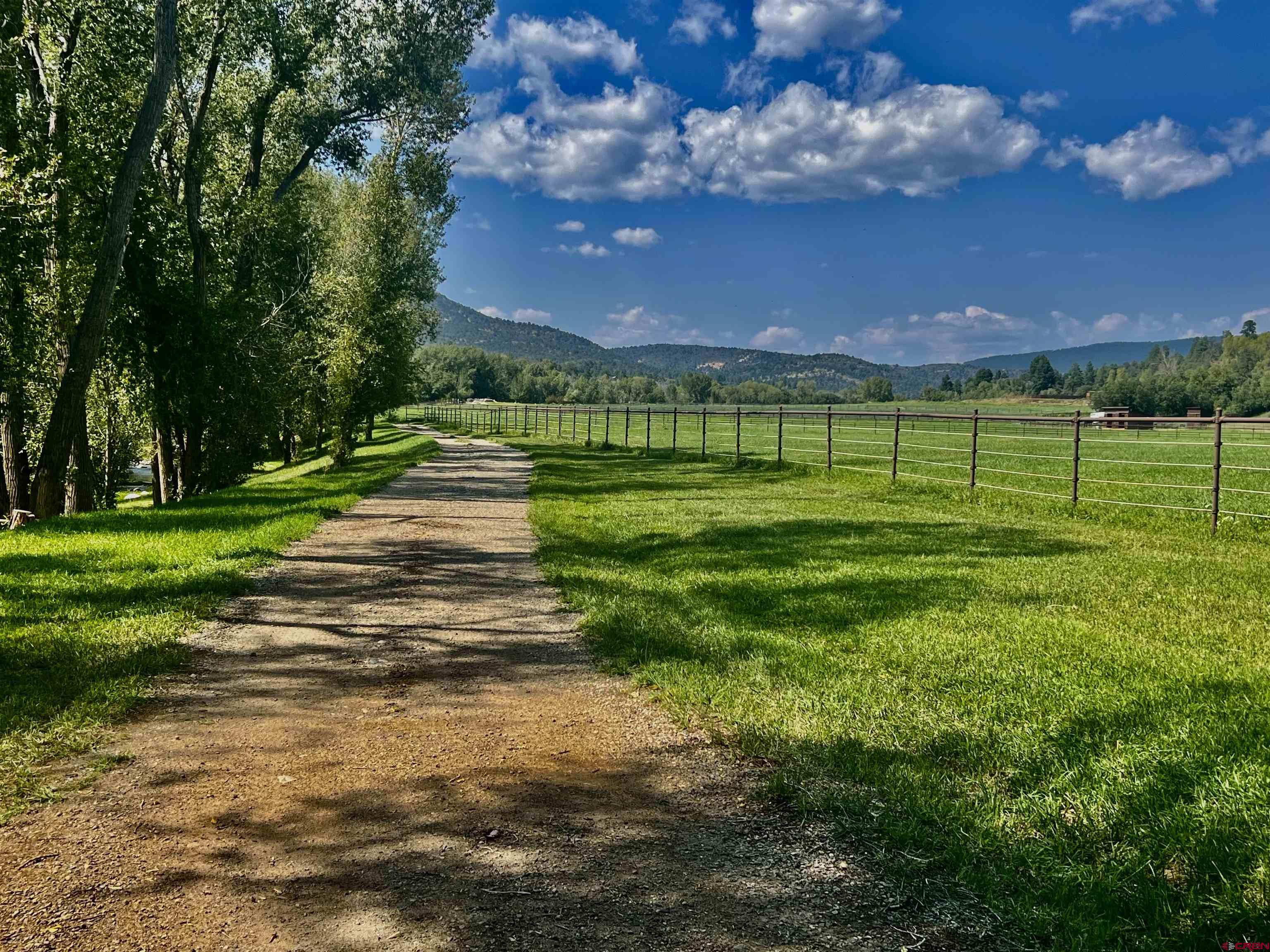 2777 County Road 225 Durango, CO 81301 - Photo 24 of 35