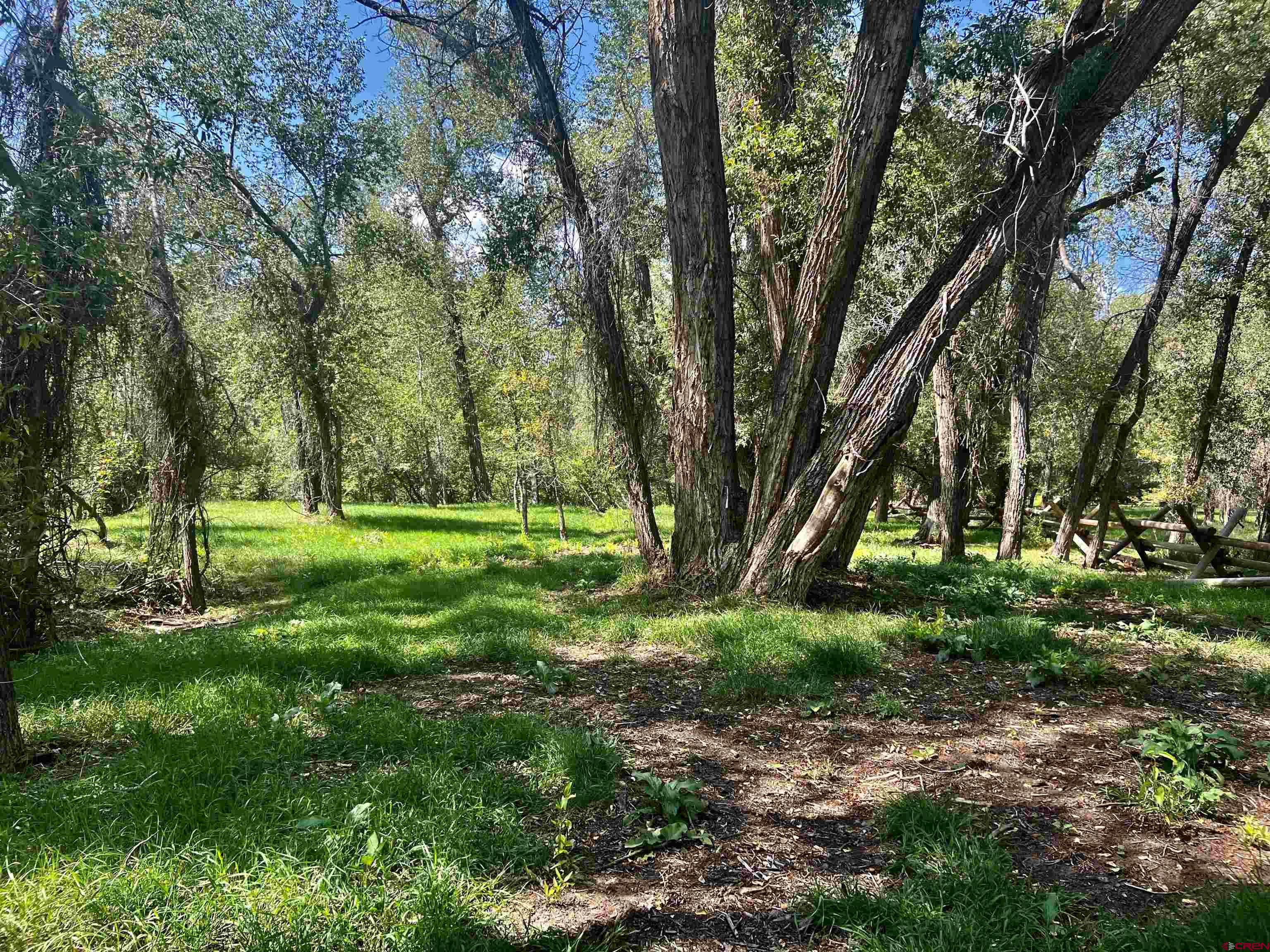 2777 County Road 225 Durango, CO 81301 - Photo 25 of 35 a view of a park with large trees